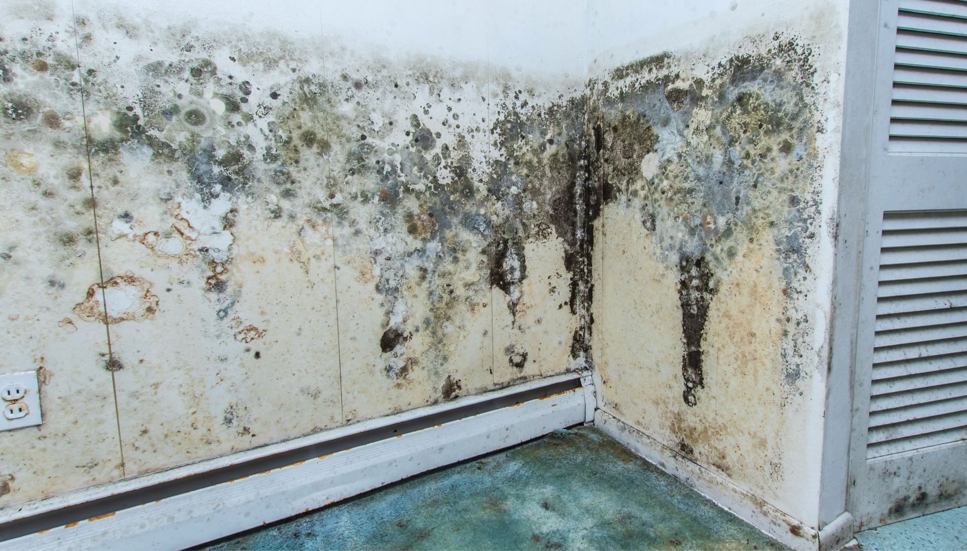 Professional mold removal, odor control, and water damage restoration service in Bowie, Maryland.