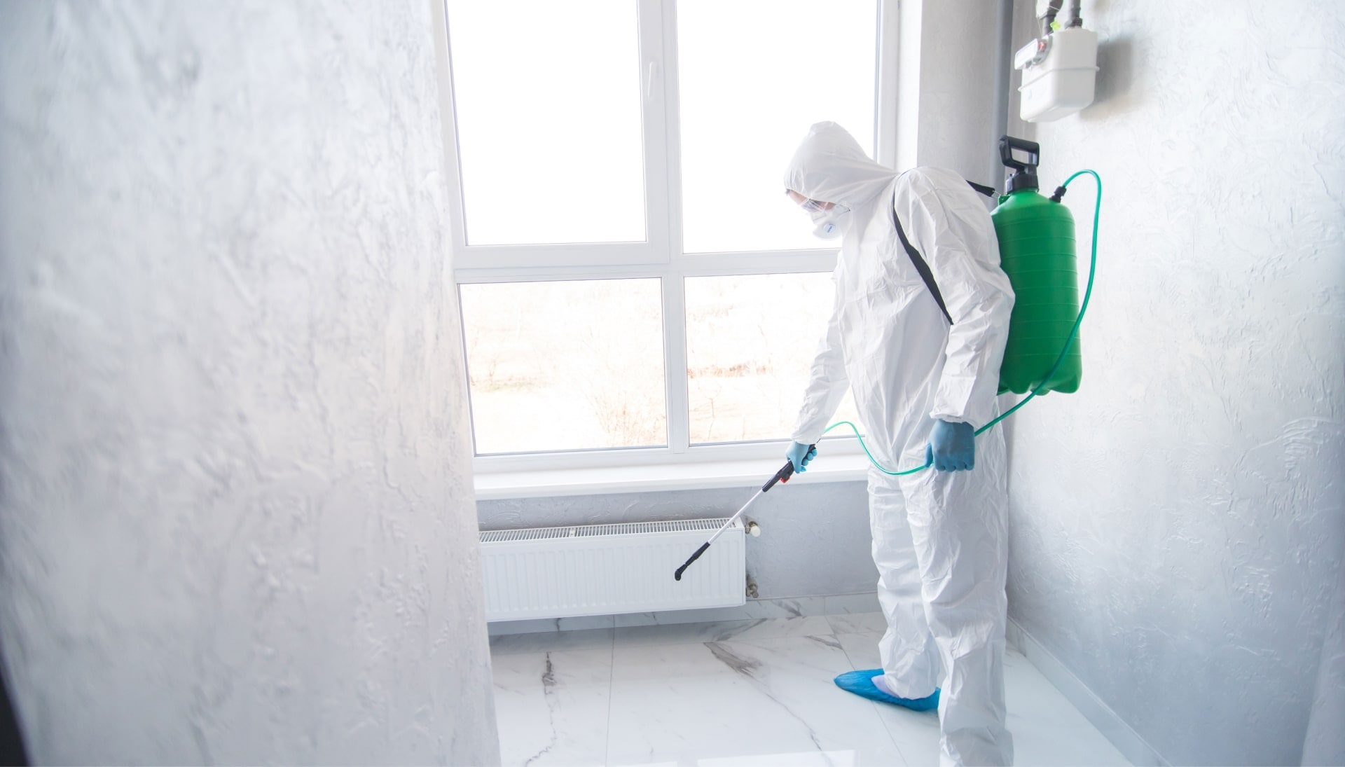 We provide the highest-quality mold inspection, testing, and removal services in the Bowie, Maryland area.